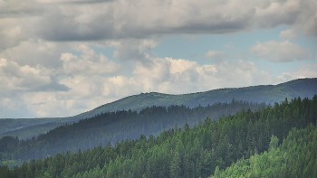 Ski areál U Sachovy studánky