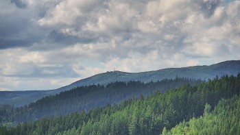 Ski areál U Sachovy studánky