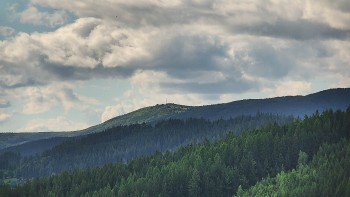 Ski areál U Sachovy studánky