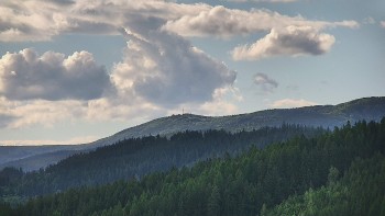 Ski areál U Sachovy studánky