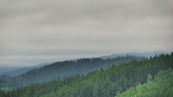 Ski areál U Sachovy studánky