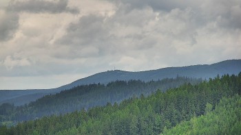 Ski areál U Sachovy studánky