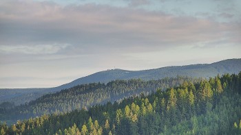 Ski areál U Sachovy studánky