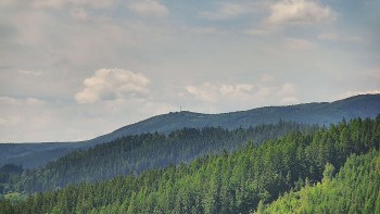 Ski areál U Sachovy studánky