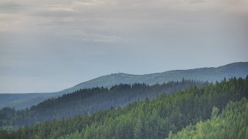 Ski areál U Sachovy studánky