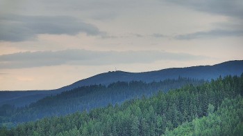Ski areál U Sachovy studánky