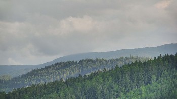 Ski areál U Sachovy studánky