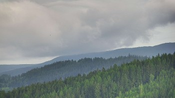 Ski areál U Sachovy studánky