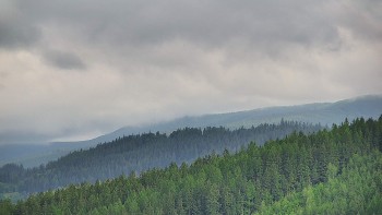 Ski areál U Sachovy studánky