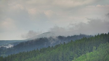 Ski areál U Sachovy studánky