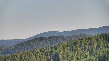 Ski areál U Sachovy studánky