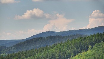 Ski areál U Sachovy studánky
