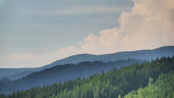 Ski areál U Sachovy studánky