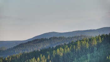 Ski areál U Sachovy studánky