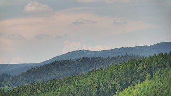 Ski areál U Sachovy studánky