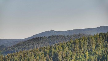 Ski areál U Sachovy studánky