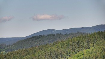 Ski areál U Sachovy studánky
