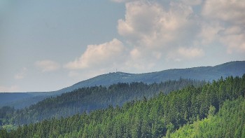 Ski areál U Sachovy studánky