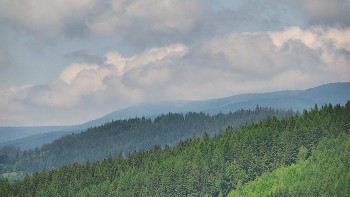 Ski areál U Sachovy studánky