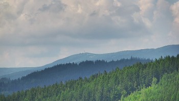 Ski areál U Sachovy studánky