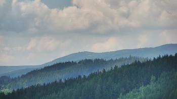 Ski areál U Sachovy studánky