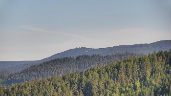 Ski areál U Sachovy studánky