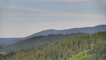 Ski areál U Sachovy studánky