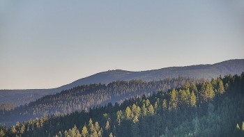 Ski areál U Sachovy studánky