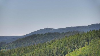 Ski areál U Sachovy studánky
