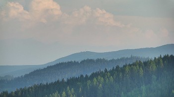 Ski areál U Sachovy studánky