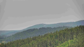 Ski areál U Sachovy studánky