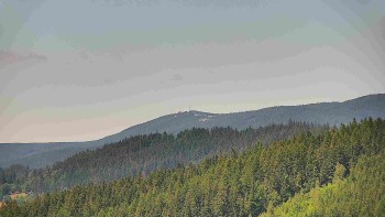 Ski areál U Sachovy studánky