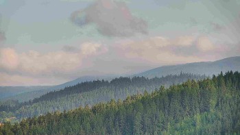 Ski areál U Sachovy studánky