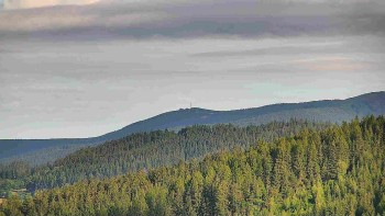 Ski areál U Sachovy studánky