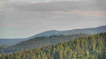 Ski areál U Sachovy studánky