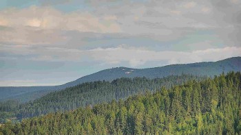 Ski areál U Sachovy studánky