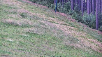 Ski areál U Sachovy studánky