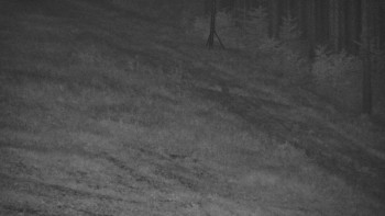 Ski areál U Sachovy studánky