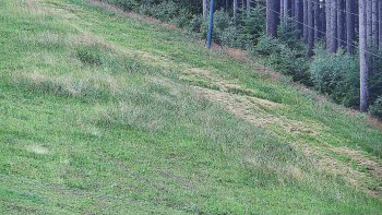 Ski areál U Sachovy studánky