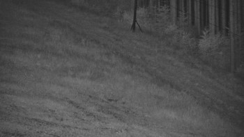 Ski areál U Sachovy studánky