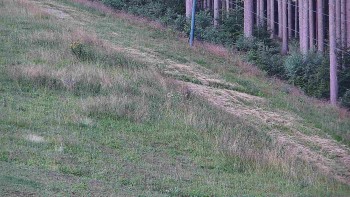 Ski areál U Sachovy studánky