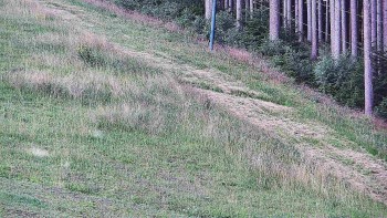 Ski areál U Sachovy studánky