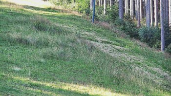 Ski areál U Sachovy studánky