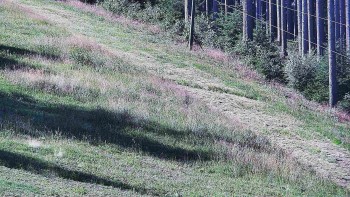 Ski areál U Sachovy studánky