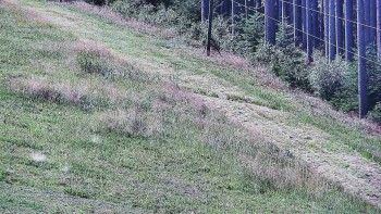 Ski areál U Sachovy studánky