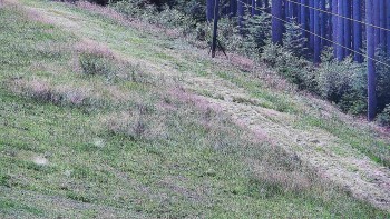 Ski areál U Sachovy studánky