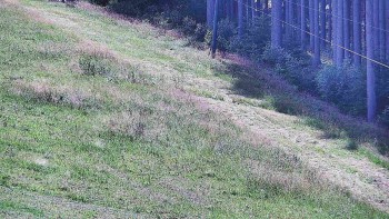 Ski areál U Sachovy studánky