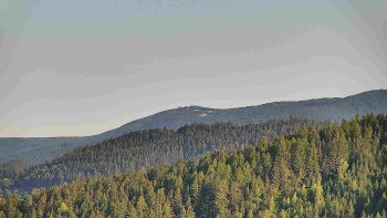 Ski areál U Sachovy studánky