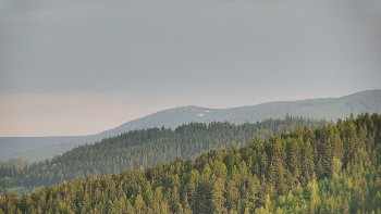 Ski areál U Sachovy studánky