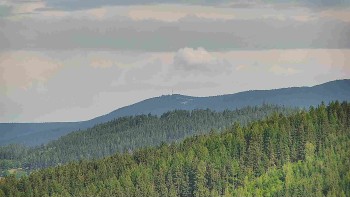 Ski areál U Sachovy studánky